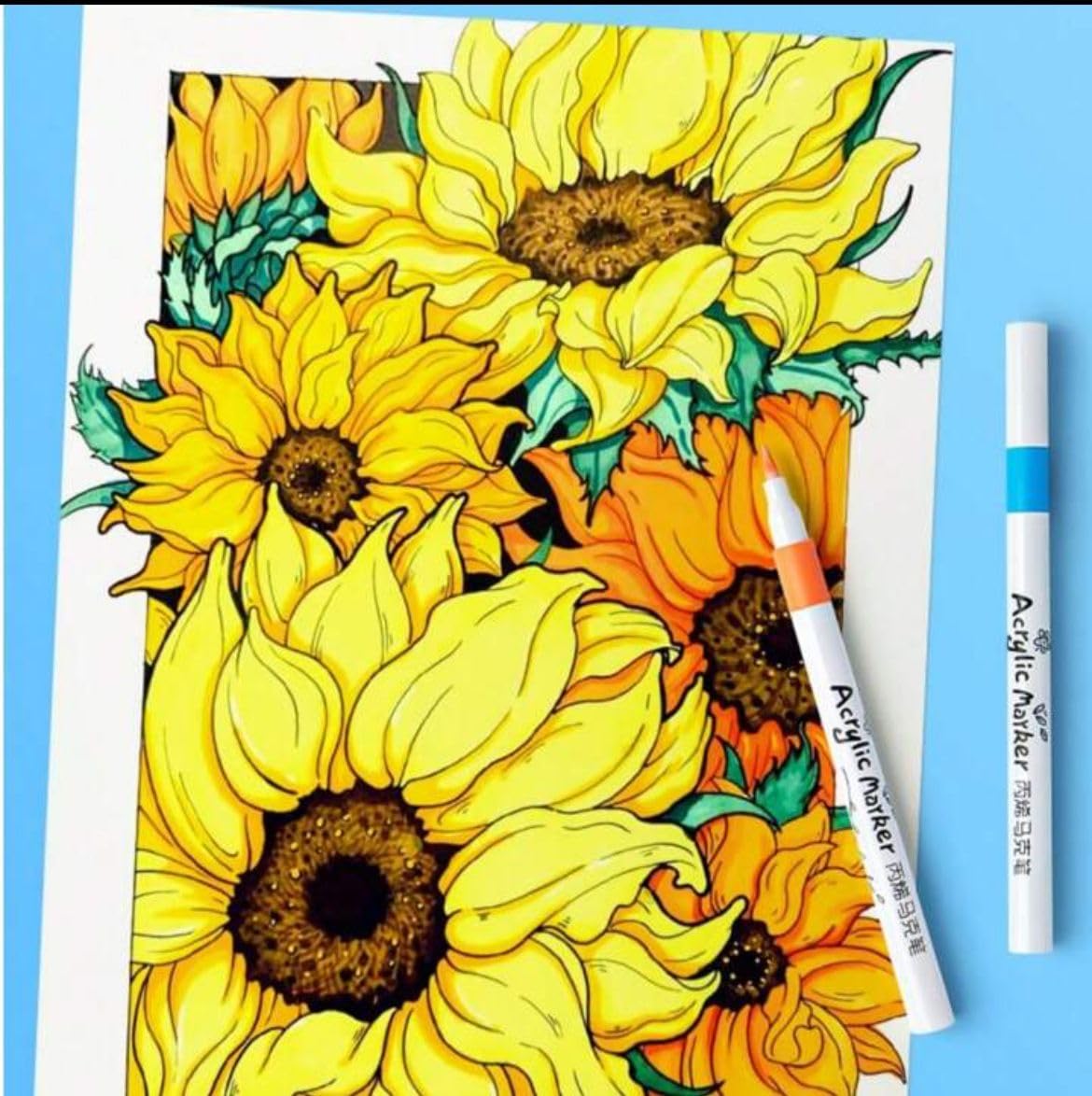 Acrylic Paint Markers | 48 Shades |Permanent Pens | Fine Tip Art Markers Set
